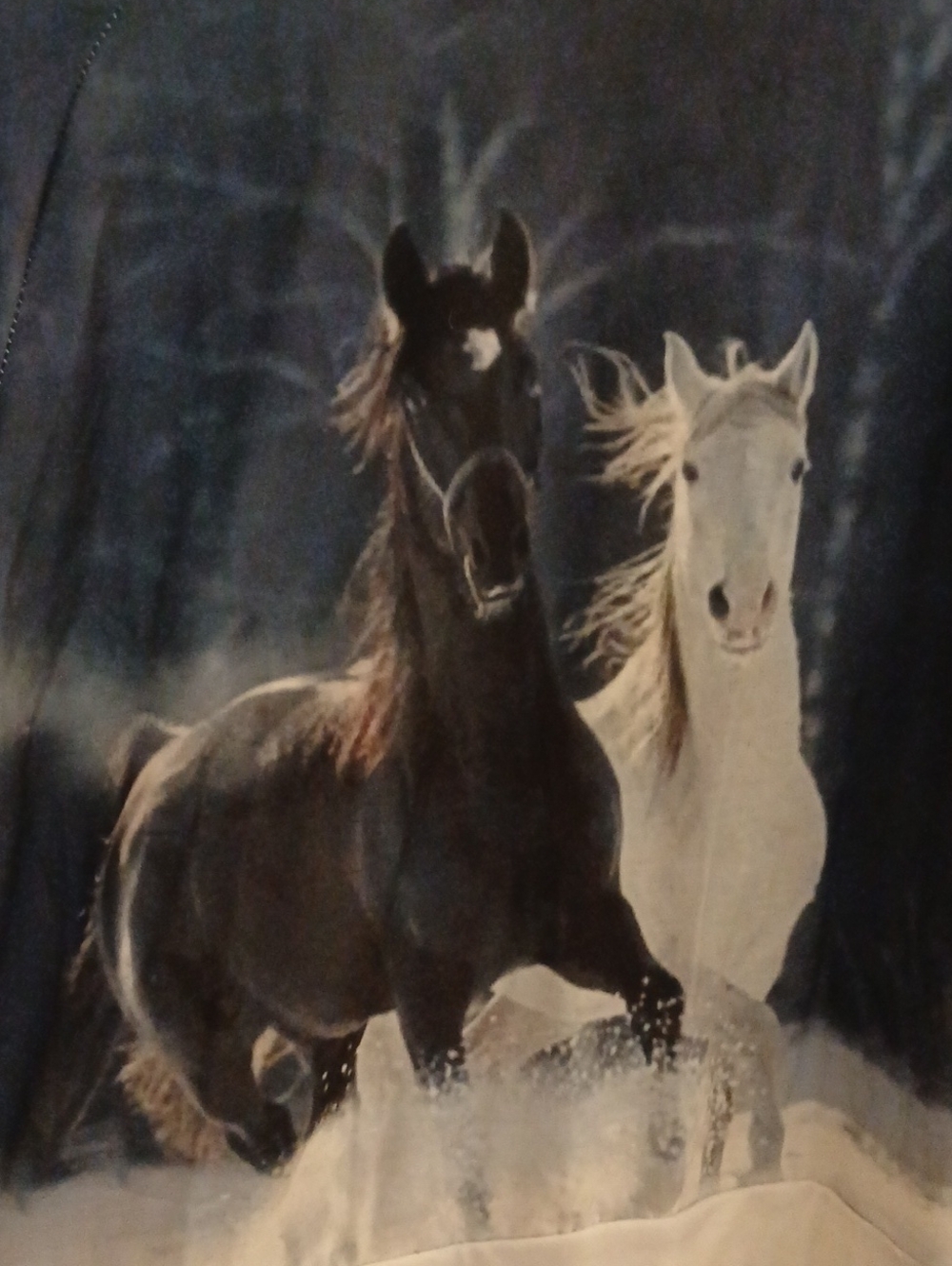 Running Horses Graphic Sweater - Black and White Horses